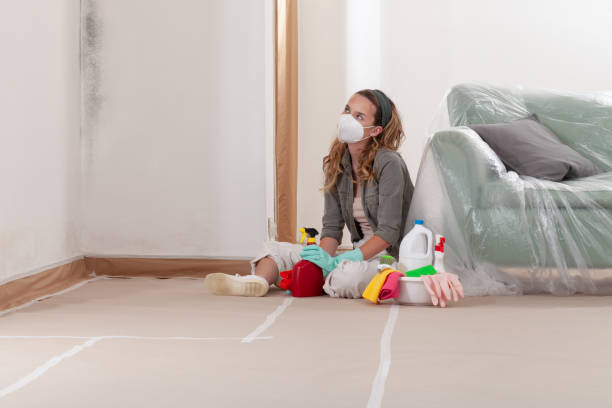 Reliable Mold Inspection And Testing contractor in Georgetown, CO by Mold Remediation HQ
